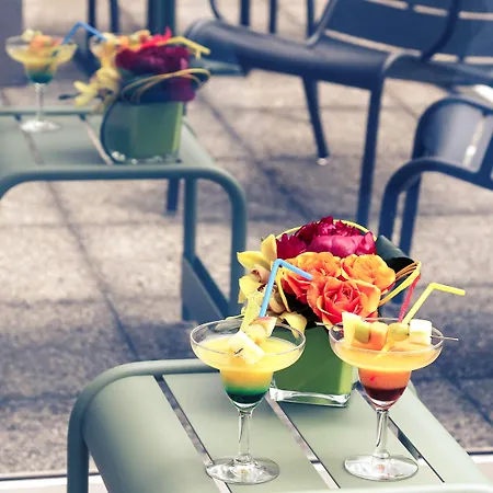 格勒诺布尔中心酒店美居酒店 酒店 4*